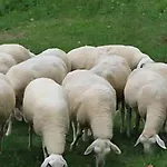 Lägenhet Luna's House *