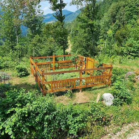 Appartement Luna's House *