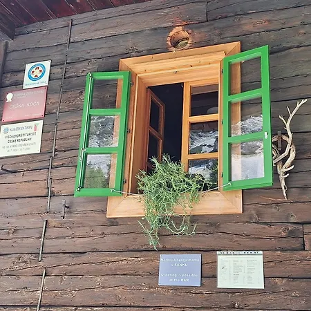 Luna's House